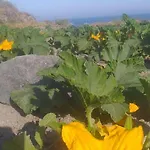 Casa vacanze Sunlight Cave Agrilia Thirasia