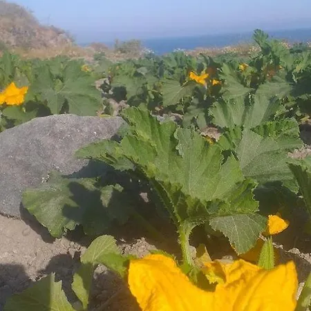 Hébergement de vacances Sunlight Cave Agrilia Thirassía