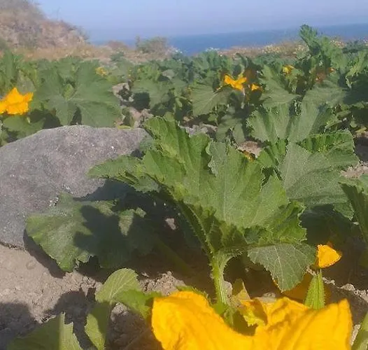 Vakantiehuis Sunlight Cave Agrilia Thirasia